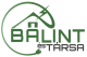 Bálint és Társa Kft. Szentendre